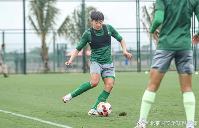埃及猫原视频