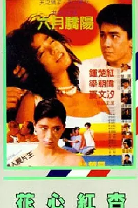 三级精品视频久久久久