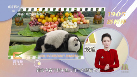 四虎成人4hutv影院